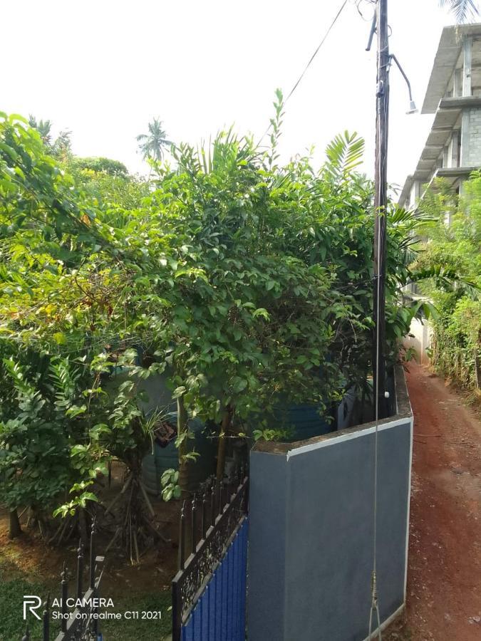 New Star Light Hotel Mirissa Bagian luar foto