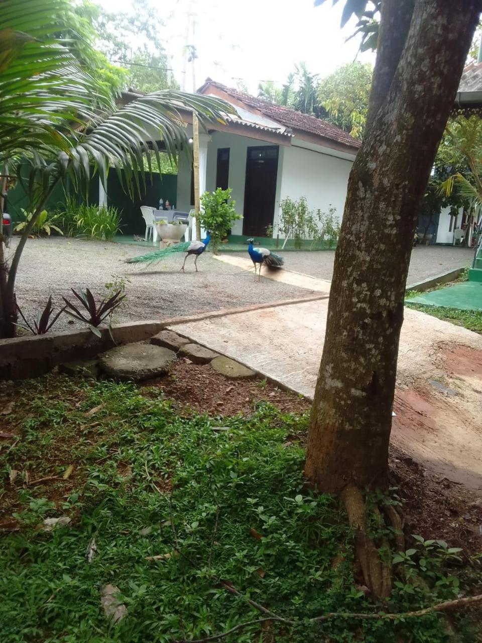 New Star Light Hotel Mirissa Bagian luar foto
